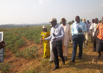 Projet de Transformation de l’ Agriculture en Repuhlique Democratique du Congo dans Ie cadre du Programme de Developpement Local des 145 territoires (PDL-145T), Premiere annee de Demarrage