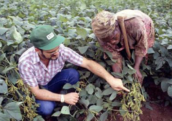 WACCI PhD Plant Breeders Training