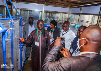 BSF for bio circular economy and environmental sustainability (BBEST)