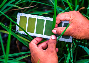 Advancing sustainable agronomy and climate adaptation through data-driven agricultural solutions in the Zambezi River Basin