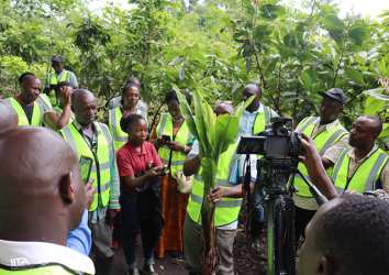 Identifying potential biosecurity systems for Fusarium wilt TR4 with smallholder banana producers in Tanzania and Mozambique