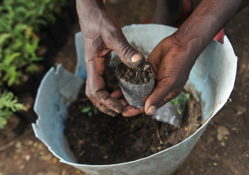 Safeguarding carbon sinks and their sequestration with agro-tech solutions in Western Uganda