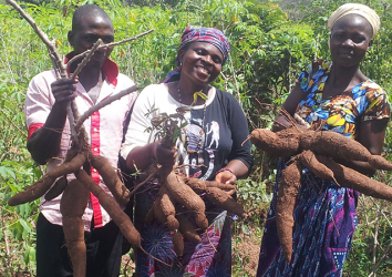 Tools4SeedSystems: working towards resilience through root, tuber and banana crops in humanitarian settings