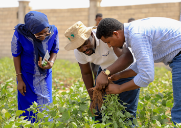 ENABLE Youth Cameroun – Agricultural value chain development project (PD-CVA/ACV-DP)