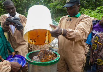 Deployment of a novel biodegradable carrier (banana fiber) for efficient crop protection.