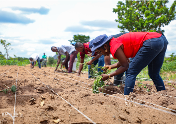 Feed the Future Nigeria Integrated Agriculture Activity