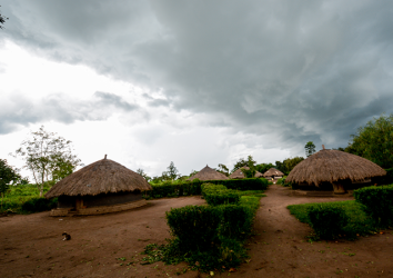 USAID – Enhancing Resilient and Adaptive Agriculture Livelihoods in Uganda – Scaling of Proven Climate-Smart Agriculture Technologies File name: treesx.png