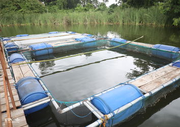 Scaling component for FASA WorldFish Project