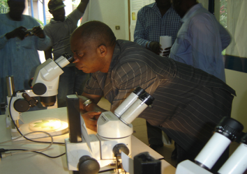 Resurrecting a role for roguing: pre-symptomatic detection with multispectral imaging to quantify and control the transmission of cassava brown streak disease